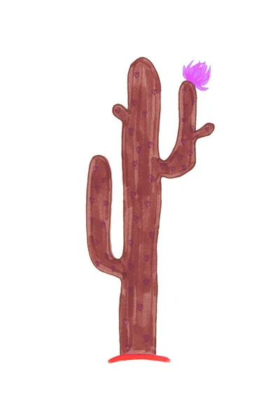 Кактус Сердечками Декількома Гілками Фіолетово Рожевою Квіткою Білому Тлі — стокове фото