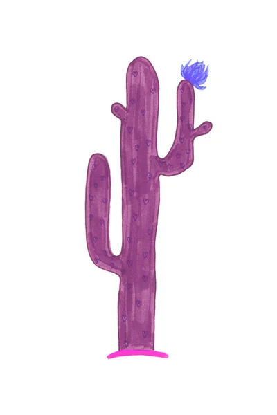 Темно Фіолетовий Кактус Сердечками Декількома Гілками Синьою Квіткою Білому Тлі — стокове фото