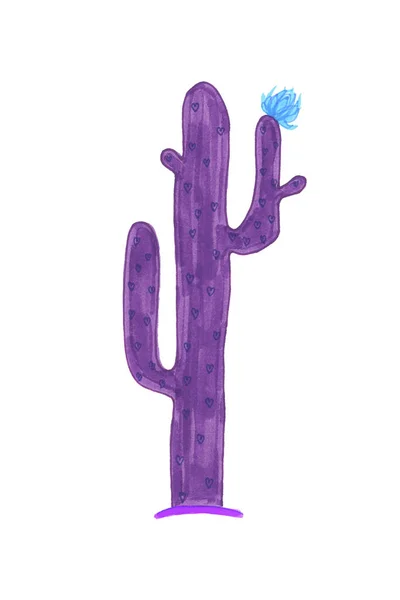 Фіолетовий Кактус Серцями Декількома Гілками Світло Блакитною Квіткою Білому Тлі — стокове фото