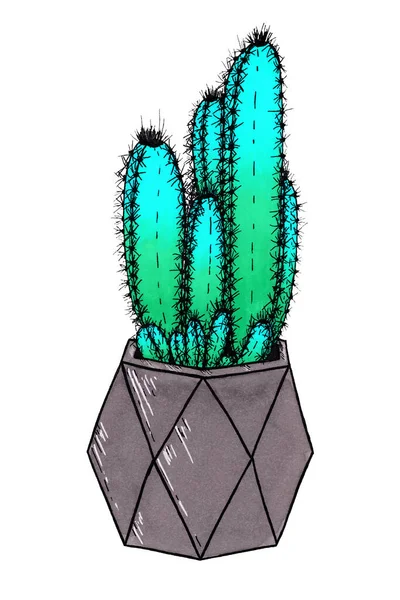 Cactus Gradiente Verde Turquesa Una Maceta Geométrica Gris Sobre Dibujo — Foto de Stock