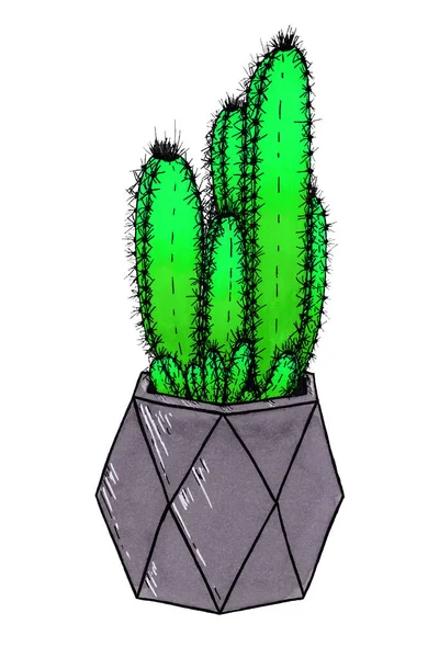 Grön Gradient Kaktus Grå Geometrisk Kruka Vit Bakgrund Illustration Ritning — Stockfoto