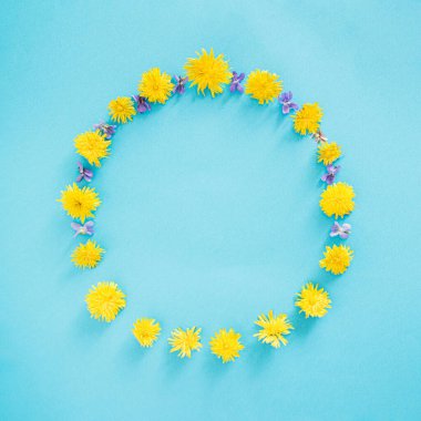 güneşli bahar minimal düz konsept. Fotokopi alanı fikri mavi bir arkaplanda. Sanat fikri tasarımı