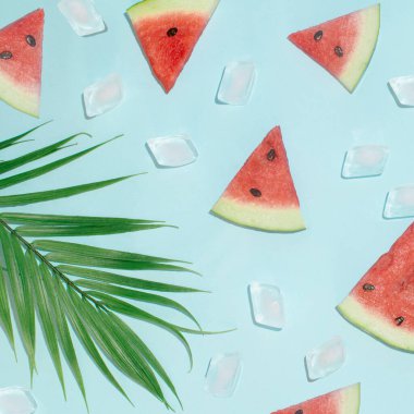 Yaz güneşli fikir, karpuz ve buzlu mavi arkaplan. Yeşil tropik palmiye.