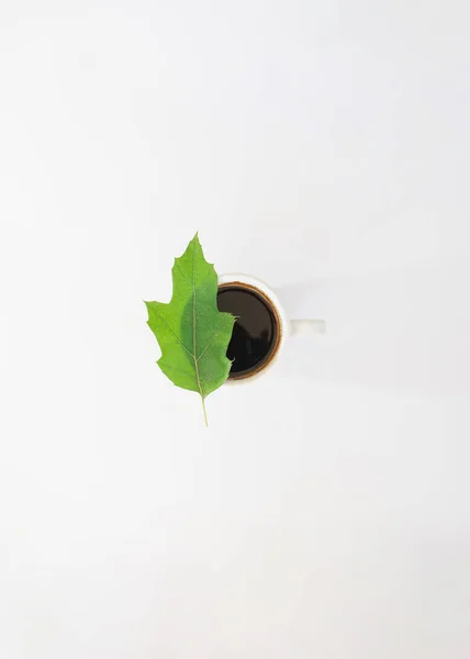Green Leaf Cup Coffee White Background Minimal Art Design — Stock Photo, Image