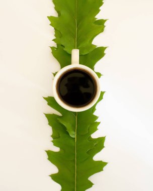 Yeşil yapraklı beyaz arka planda bir fincan kahve. Doğal rahatlama kavramı. Sonbahar tasarımı.