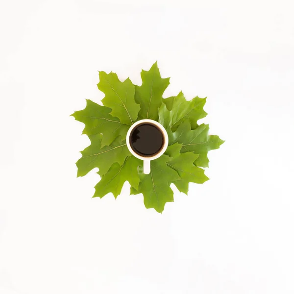 cup of coffee on a white background.nature relax concept idea.autumn design.aesthetic flat lay