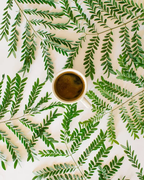 Kreatív Elrendezés Kis Zöld Levelek Körül Egy Csésze Kávé Természet Jogdíjmentes Stock Fotók