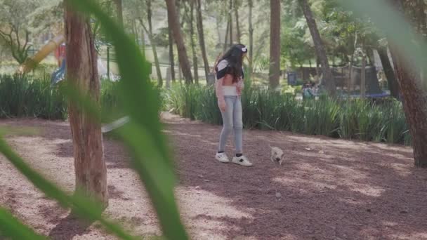 少女在公园里慢慢地走着 带着她的迷你型的奇瓦瓦犬 — 图库视频影像
