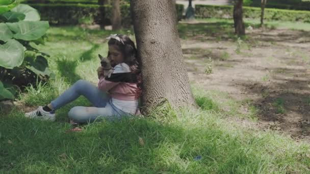 小女孩坐在公园里和她的宠物一起玩一只迷你奇瓦瓦犬 — 图库视频影像