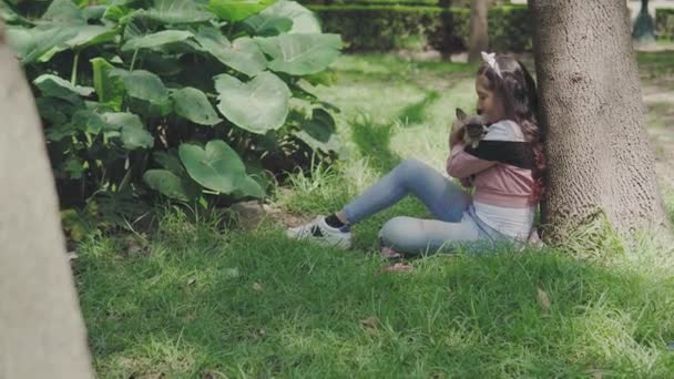 小女孩坐在公园里和她的宠物一起玩一只迷你奇瓦瓦犬 — 图库视频影像