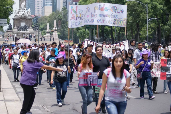 Meksika, Mexico City, 24 Haziran 2013, hayvan hakları yürüyüşü insanların hayvanlara karşı şiddetin kökünü kazımaya olan bağlılığını gösteriyor.