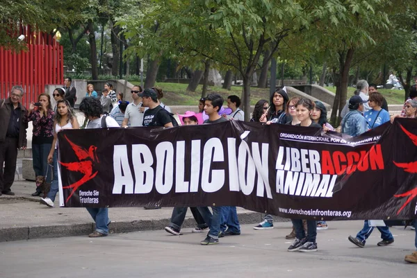 Meksika, Mexico City, 24 Haziran 2013, hayvan hakları yürüyüşü insanların hayvanlara karşı şiddetin kökünü kazımaya olan bağlılığını gösteriyor.