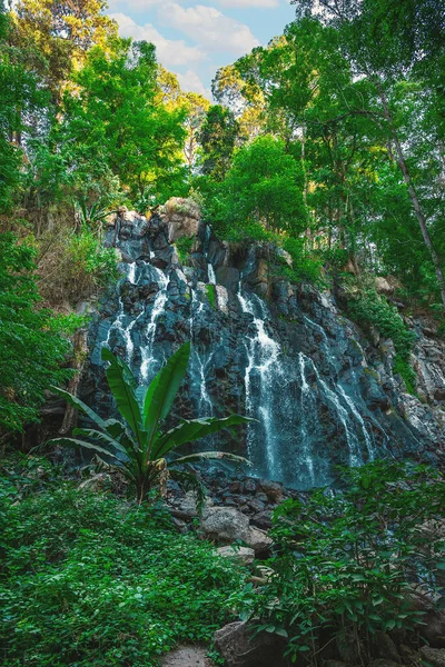 墨西哥 布拉沃山谷 全景美丽的天然瀑布 诺维亚岛 被植被和大石头环绕 免版税图库图片