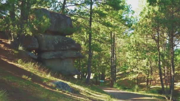 自然公園の巨大な先祖の石の眺め ピエドラスEncimadas プエブラメキシコ 石と背景に美しい非常に緑の場所です — ストック動画