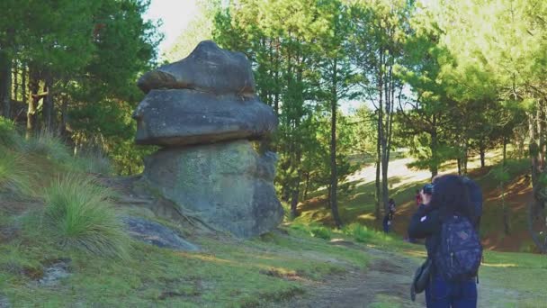 Pohled Kolosální Předků Kámen Piedras Encimadas Přírodní Park Puebla Mexiko — Stock video