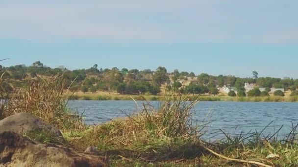 Timelapse Movimento Vista Para Lago Meio Dia Tlaxcala México Fundo — Vídeo de Stock