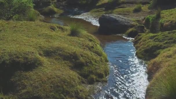 Vue Une Rivière Avec Eau Source Dans Parc Naturel Piedras — Video