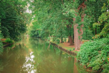 Bruges, Belgium. River running through Oostmeers Street, beautiful forest at the entrance to the city. Classic view of the canals of Bruges.