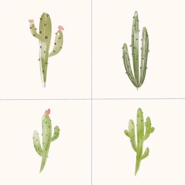 Cactus Abstracto Acuarela Para Fondo Fondo Pantalla Ilustración Wild West —  Fotos de Stock