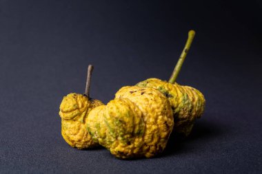 Üç sarı araticum meyvesi. Odaklı ve koyu siyah arkaplan üzerine kablolar yerleştirilmiş. Brezilya mutfağında yemek ve tamamlayıcı beslenme için kullanılır..