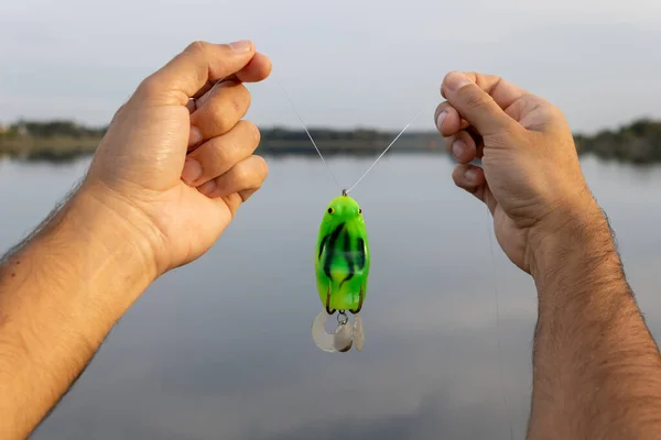 Hands of a white man passing a nylon fishing line onto a frog-shaped bait in front of a lake. Mention to coastal fishing, sport and leisure with the family on a sunny weekend.