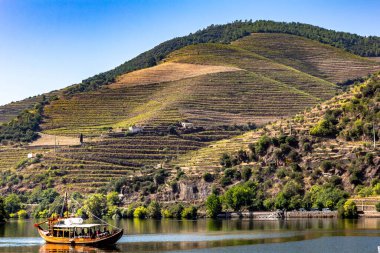 Douro Nehri 'nde tekne turları, Douro Vadisi, Porto, Portekiz. Dağlar ve asmalar.