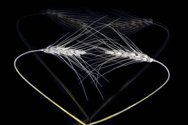 Kalp şeklindeki buğday desenleri