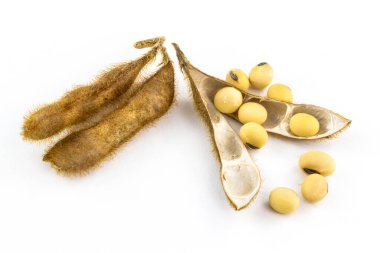 Beyaz arka planda tohumlu soya fasulyelerinin yakın plan görüntüsü. Stüdyo çekimi