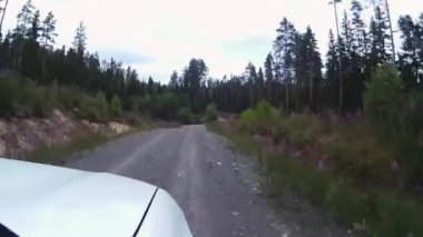 Araba ormanın içinden düz bir yolda gidiyor.
