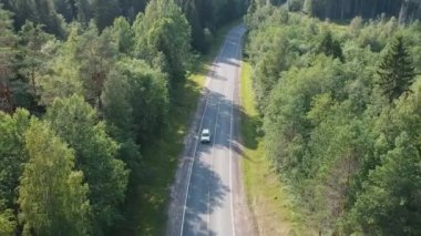 Araba ormanın içinden düz bir yolda gidiyor.