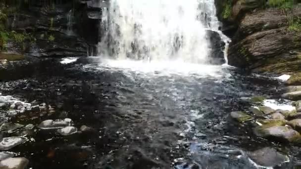 Wodospad w zielonym lesie i czarnej wodzie — Wideo stockowe