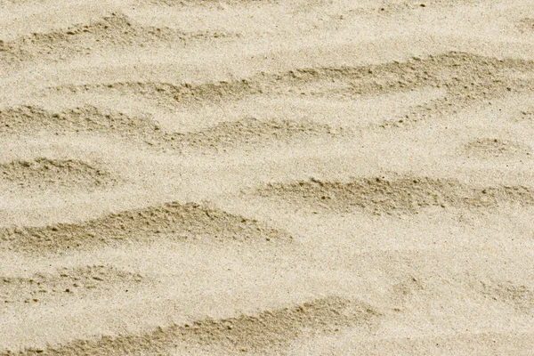 Sandy background texture — Stock Photo, Image