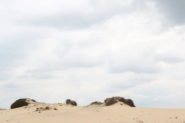 모래 언덕의 변죽에 흐린 하늘 — 스톡 사진