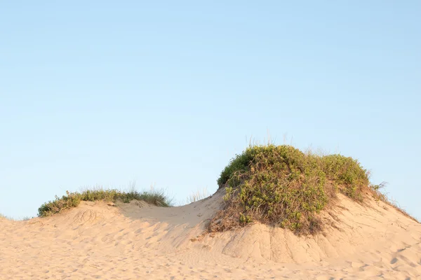 Dune RIM üzerinde mavi gökyüzü — Stok fotoğraf