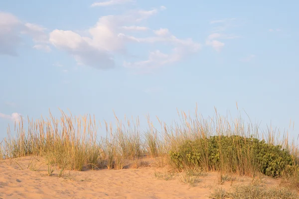 모래 언덕의 변죽에 푸른 하늘 — 스톡 사진