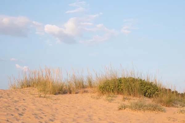 모래 언덕의 변죽에 푸른 하늘 — 스톡 사진