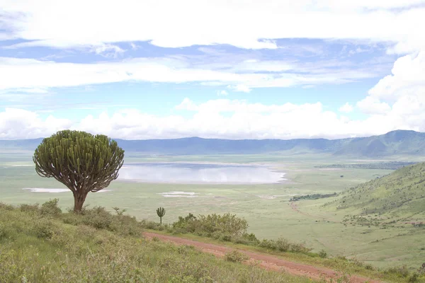 Ngorongoro crater rim