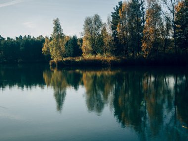 Ormandaki güzel göl