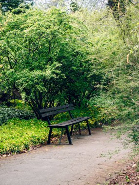 Yeşil ağaçların olduğu bir parkta siyah bir bank.