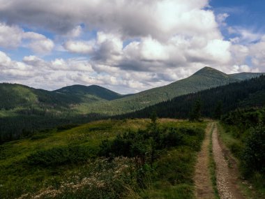 Yeşil bir dağı olan güzel bir yaz manzarası. Karpat Dağları. Ukrayna. yatay görünüm