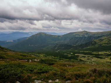 Karpat Dağları. Ukrayna. yatay görünüm