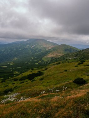 Arkasında bulutlar olan güzel bir dağ manzarası. Karpat Dağları. Ukrayna. dikey görünüm