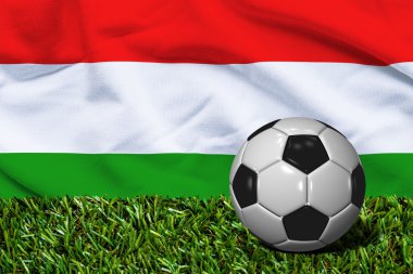 Futbol topu ile Macaristan bayrağı arka plan, çimenlerin üzerinde 3d render