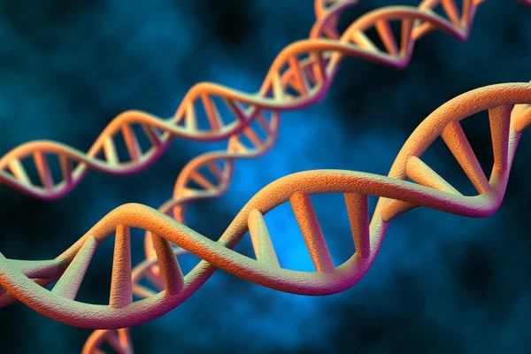 Menschliches DNA-Molekül, 3D-Darstellung — Stockfoto