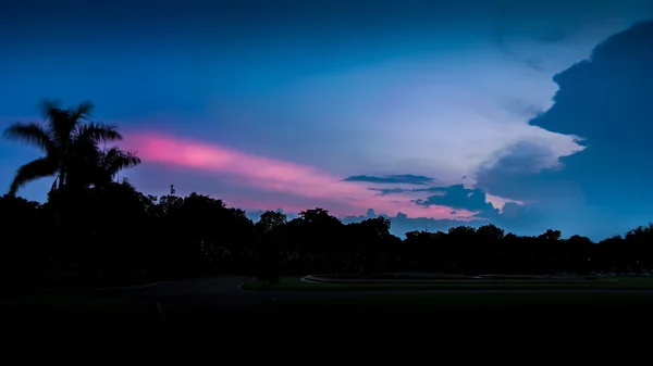 Silhouette des arbres et du ciel au coucher du soleil ou au lever du soleil, HDR — Photo