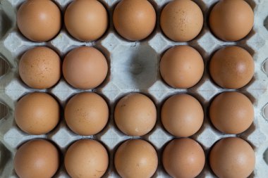 kavram yok: bir yumurta yumurta grubundan kaybolur.