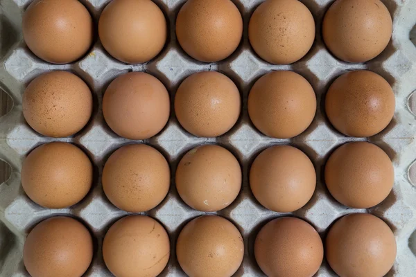 닭 계란의 그룹. — 스톡 사진