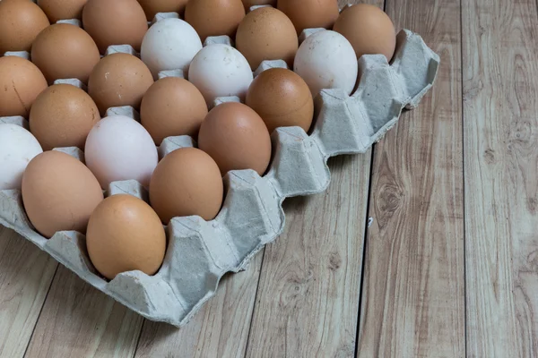 Conceito homogêneo: Diferentes tipos de ovos permanecem juntos homo — Fotografia de Stock