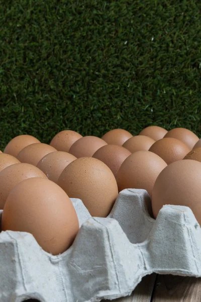 Без понятия: Яйцо исчезает из группы яиц . — стоковое фото