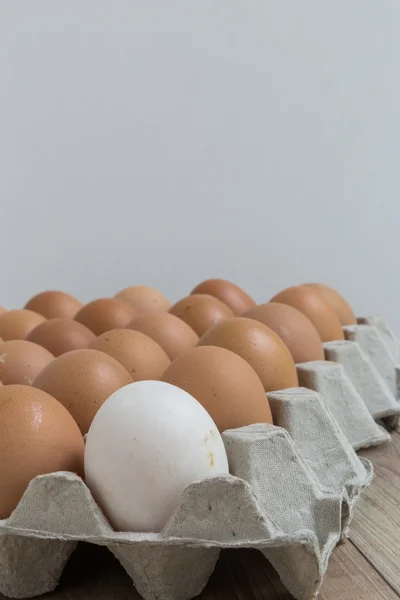 Лидерство: белое яйцо из группы В. — стоковое фото